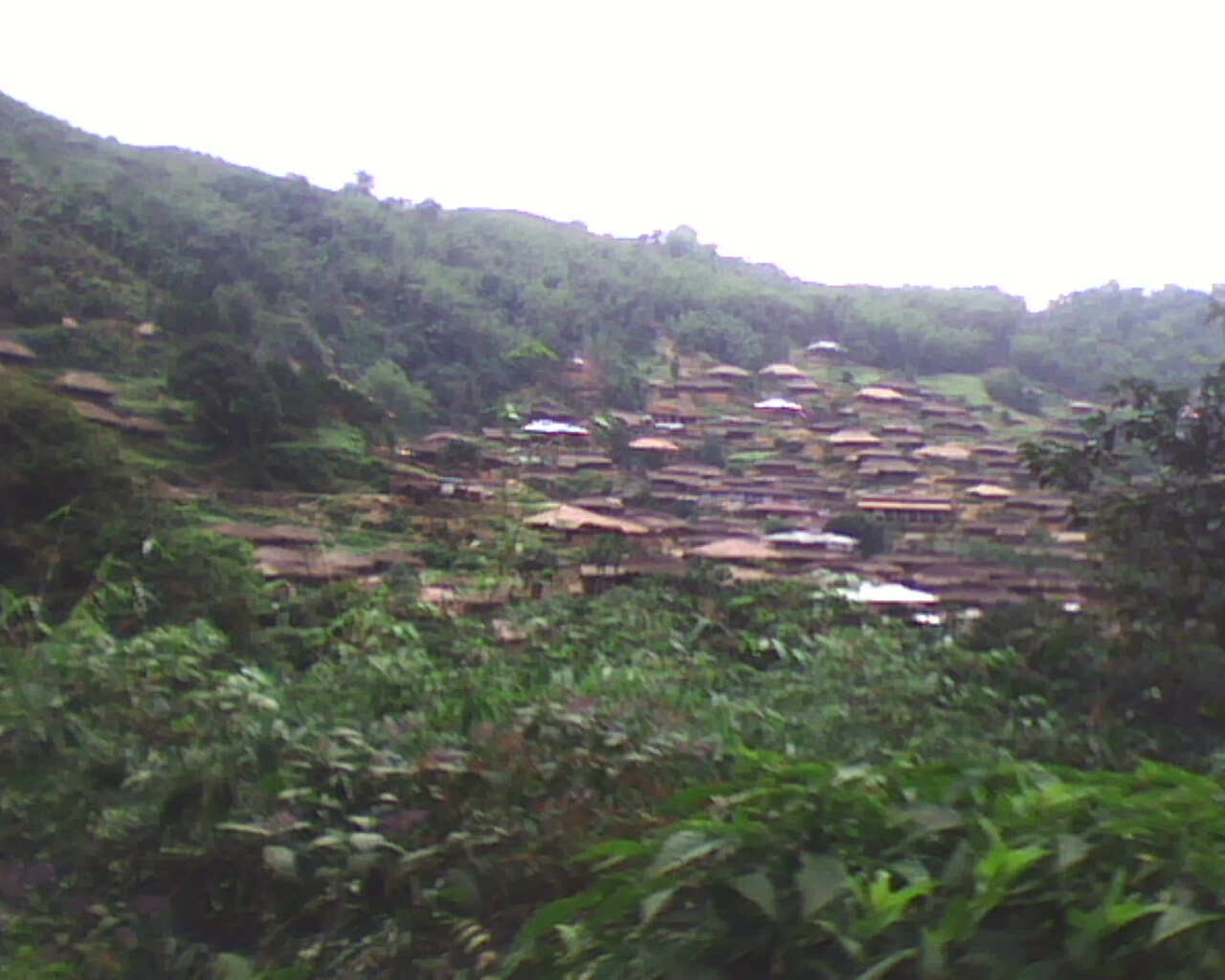 my sweet village jomo, distt west siang, a.p